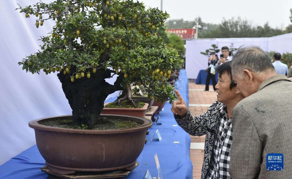 兴旺娱乐网址